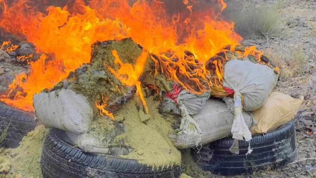 ۲۴۴ کیلو گرام مواد مخدر در پنجشیر آتش زده شد