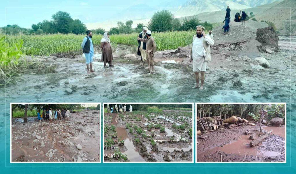 Hesarak floods wash away crops, cause losses