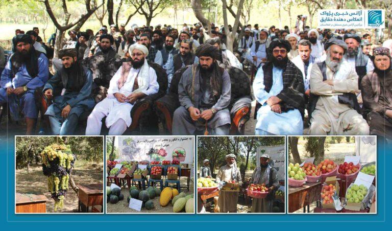 نمایشگاه محصولات زراعتی در سرپل برگزار شد