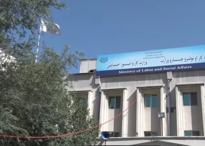 «در ۶ ماه نخست امسال ۸۷۷۳ شهروند داخلی و ۲۲۲ شهروند خارجی فاقد جواز کار شناسایی شده‌اند»