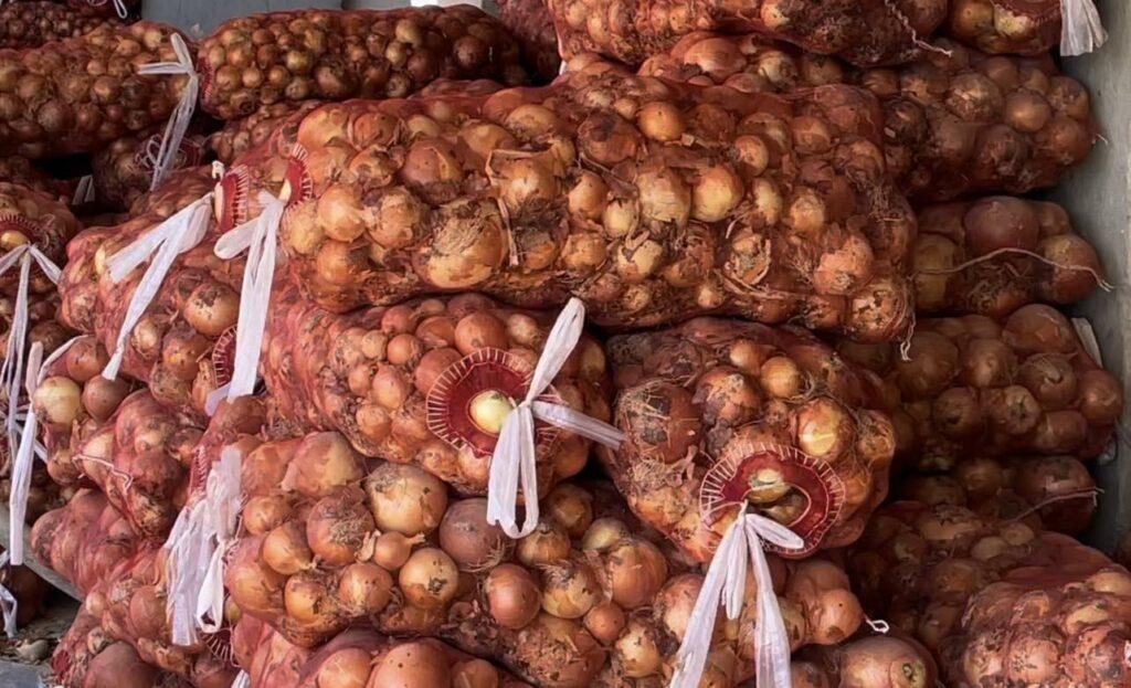 Onion yield 11pc up in Kuduz, exceeds 34,000MT this year