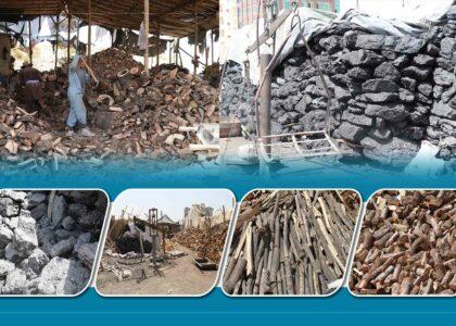 Firewood, coal prices jump in Kabul by 50pc  