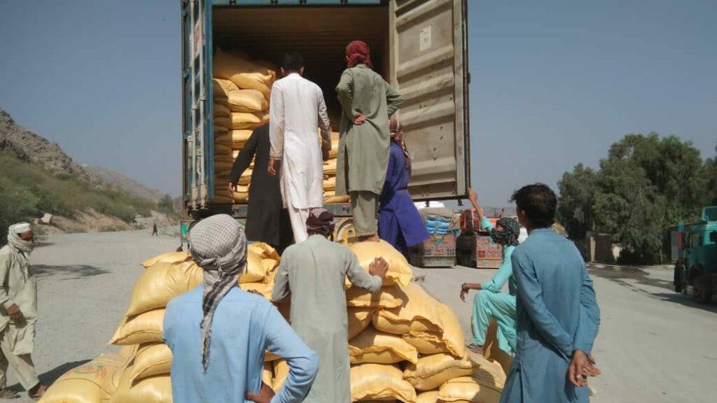 16 tons of poor quality corn returned to Pakistan