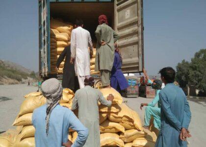 16 tons of poor quality corn returned to Pakistan