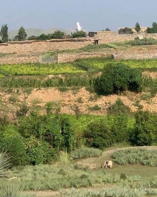 ځاځي میدان کې بیا د ا.ا او پاکستاني ځواکونو تر منځ نښته شوې