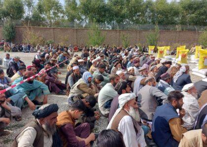 برای بیش از دو هزار دهقان در کاپیسا تخم اصلاح‌شدۀ گندم و کود کیماوی توزیع شد