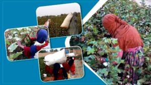 Balkh women, child workers complain low wages