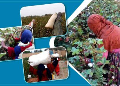 Balkh women, child workers complain low wages