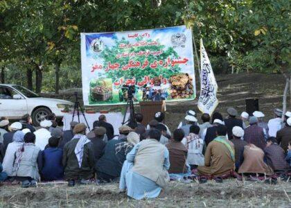 نخستین جشنوارهٔ فرهنگی چهارمغز در کاپیسا برگزار شد