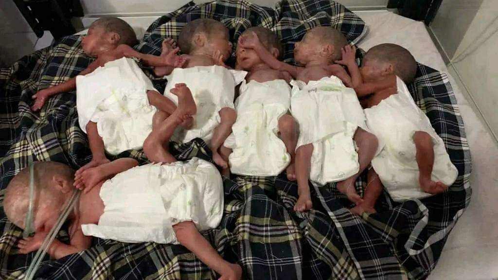 Family of deceased sextuplets provided 250,000 in assistance