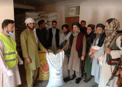 برای یک هزار دهقان در پروان تخم اصلاح‌شدۀ گندم توزیع شد