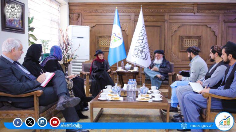 اروپايي ټولنه له افغانستان سره سل میلیون ډالر مرسته کوي