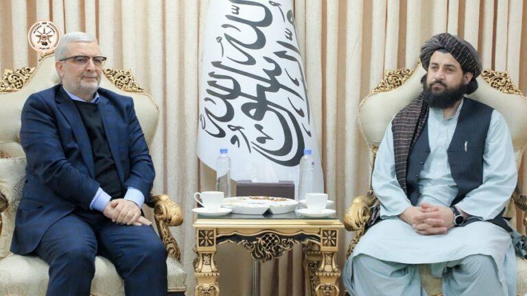 Mujahid, Qomi discuss border security, migrant issues
