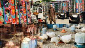 Jalalabad poultry sellers call municipality’s decision unjust