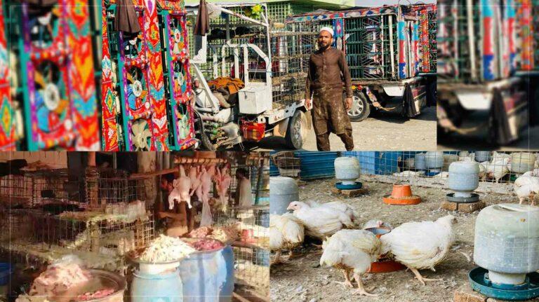 فروشنده‌گان گوشت مرغ در جلال‌آباد: تصمیم شاروالی برای کشتار مرغ در مسلخ ما را با مشکلات مواجه کرده‌است