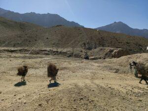 Uruzgan residents: Unexploded ordnance still threaten lives