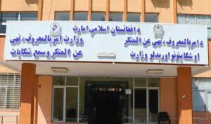 Over 100 women’s rights cases addressed last month: MoVVC