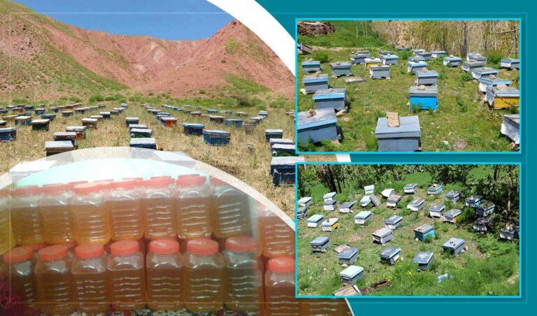 Daikundi beekeepers seek proper market for their product