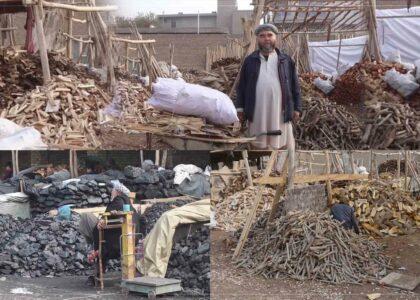 Balkh firewood sellers complain about sluggish market