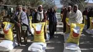 Over 6,000 farmers in Paktia receive wheat seeds, fertilizers