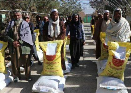 Over 6,000 farmers in Paktia receive wheat seeds, fertilizers