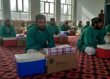 هلمند کې څه باندې ۱۰۰ زره څارویو ته د واکسین د تطبیق پروسه پیل شوه