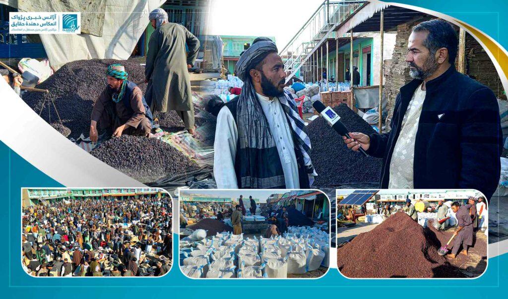 Faryab farmers concerned at low raisin price