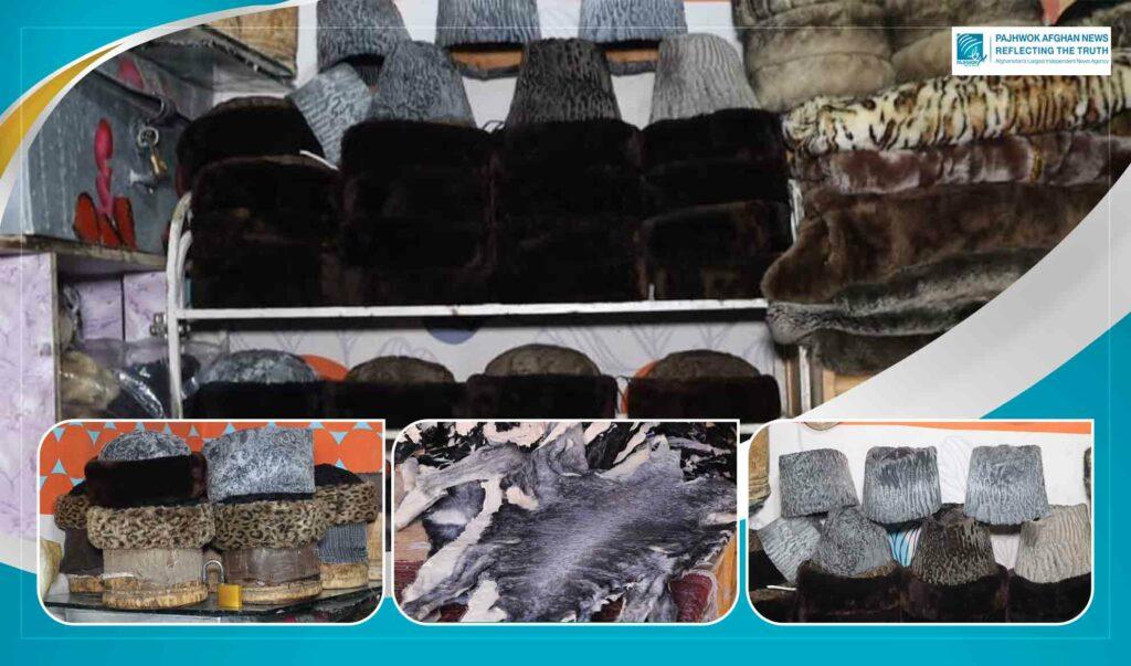 Karakul skin export from Balkh increases