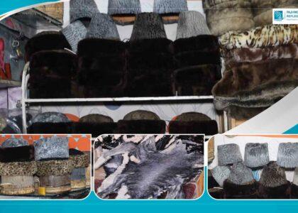 Karakul skin export from Balkh increases