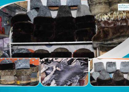 Karakul skin export from Balkh increases