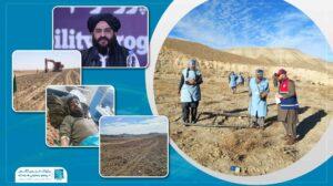 سږ کال په هېواد کې د پخواني ماینونو او مهماتو چاودنو د ۱۴۹ کسانو ژوند اخیستی