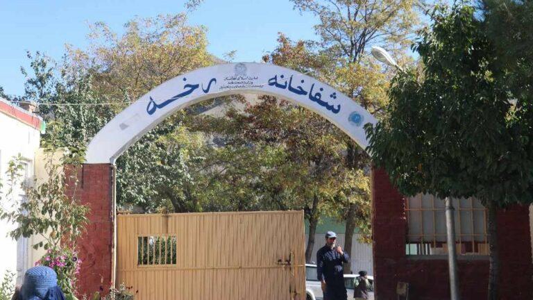 Number of malnourished children 20pc down in Panjsher