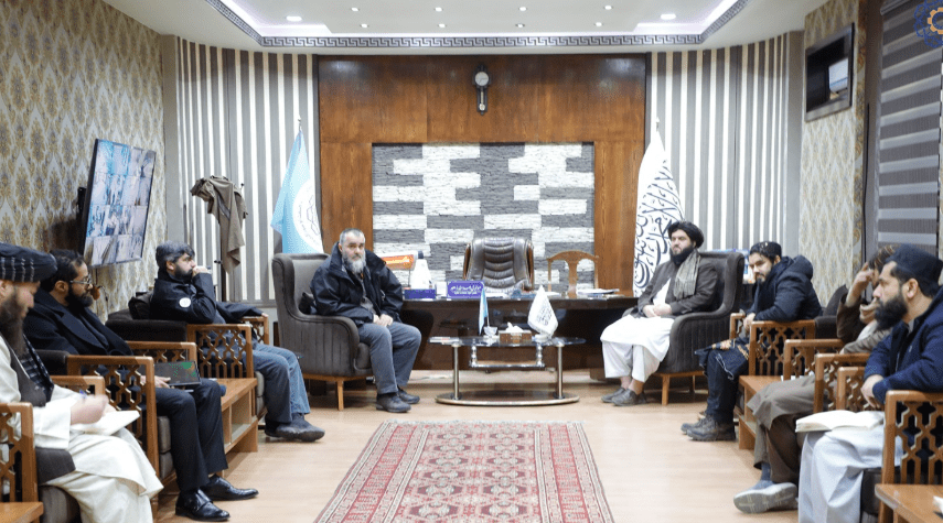 ترکي پانګوالو له افغانستانه خپل هېواد ته د ممیزو واردولو ته لېوالتیا ښودلې