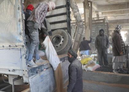 MoAIL purchases, stores 38,000MT of wheat from farmers