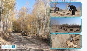 Ghazni residents irked by rising firewood prices