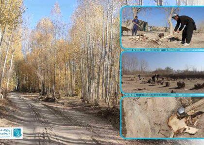 Ghazni residents irked by rising firewood prices