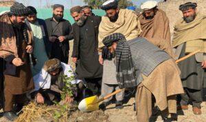 Fragrant flowers gardens set up in 6 Nangarhar districts