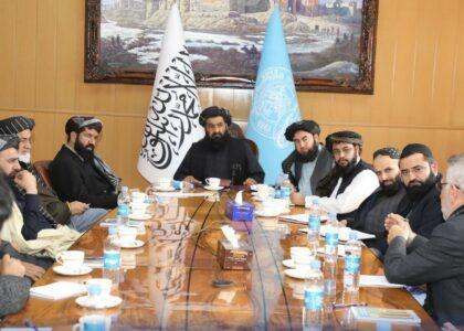 Efforts underway to ensure afghani stability: DAB