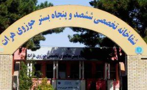 هرات کې په تېرو دوو میاشتو کې د ګازنیونې څه باندې ۱۲۰ پېښې ثبت شوې دي
