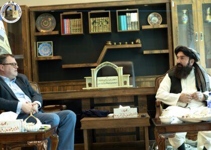 خیرخواه: نړۍ دې د فرهنګي میراثونو ساتنې په برخه کې له افغانستان سره مرسته وکړي