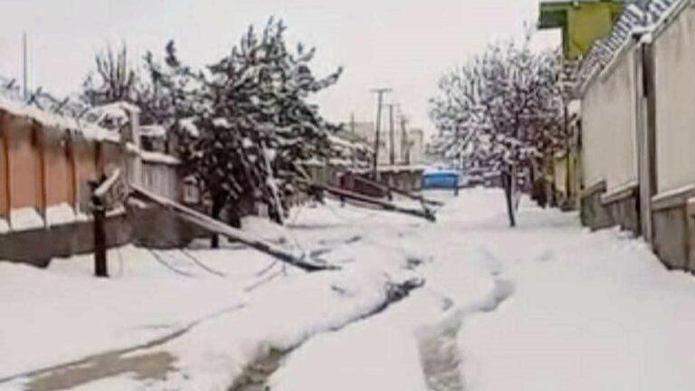 بارش برف باعث سقوط ۳۰ پایۀ کوچک برق در پکتیا شد