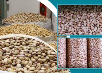 Herat exports pistachios worth $24.6m in 9 months