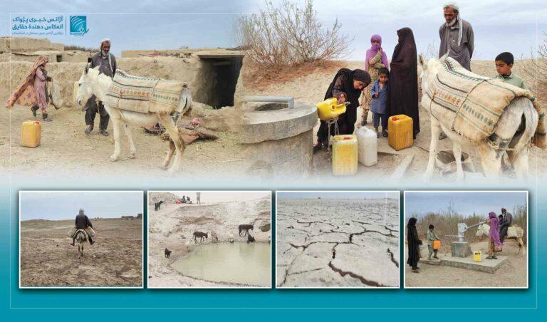 Drought in Nimroz behind exodus, livestock loss