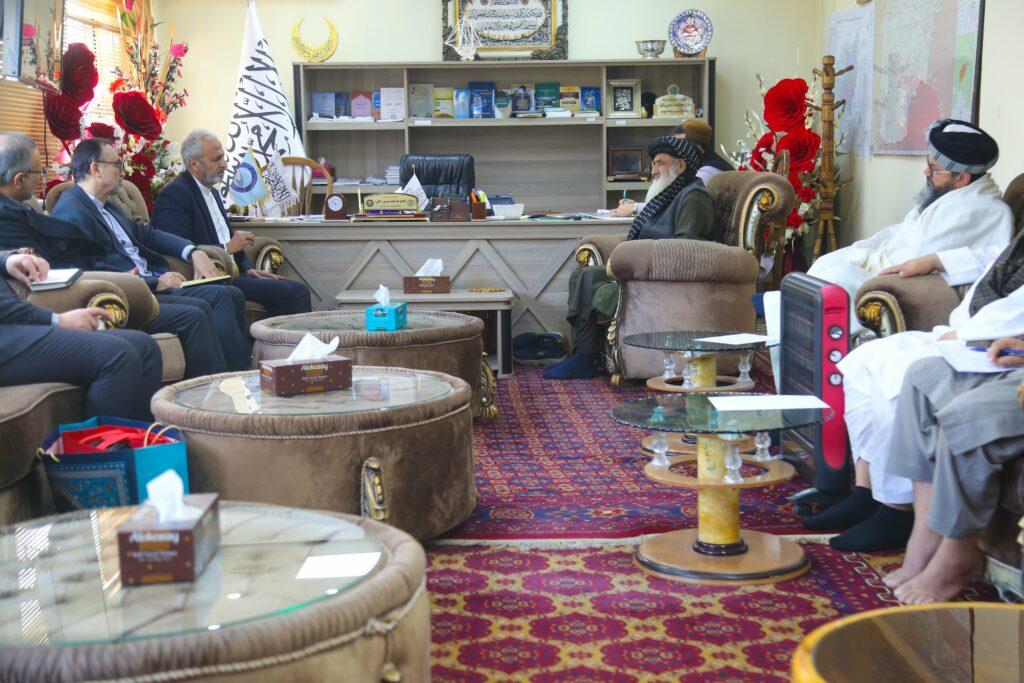 افغان او ایراني چارواکو د ځینو نابشپړو پروژو پر پېلېدو خبرې کړي