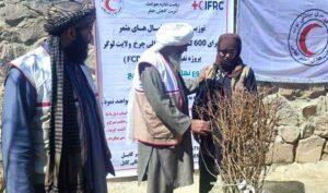 ۶۰۰ جریب باغ در لوگر احداث می‌شود