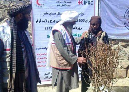 لوګر کې د جاپان په مالي ملاتړ شپږ سوه جریبه میوه‌لرونکي باغونه جوړېږي