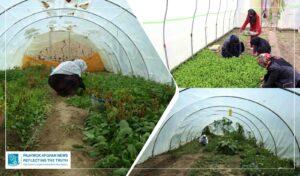 UN declares 2026 as ‘International Year of Women Farmers’