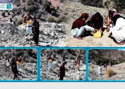 شماری از جوانان در خوست به‌گونۀ رضاکارانه در دشت‌ها و کوه‌ها تخم‌ درختان جنگلی می‌پاشند