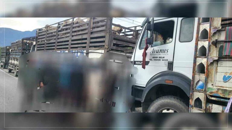از قاچاق صدها رأس گوسفند به تاجکستان در بدخشان جلوگیری شد