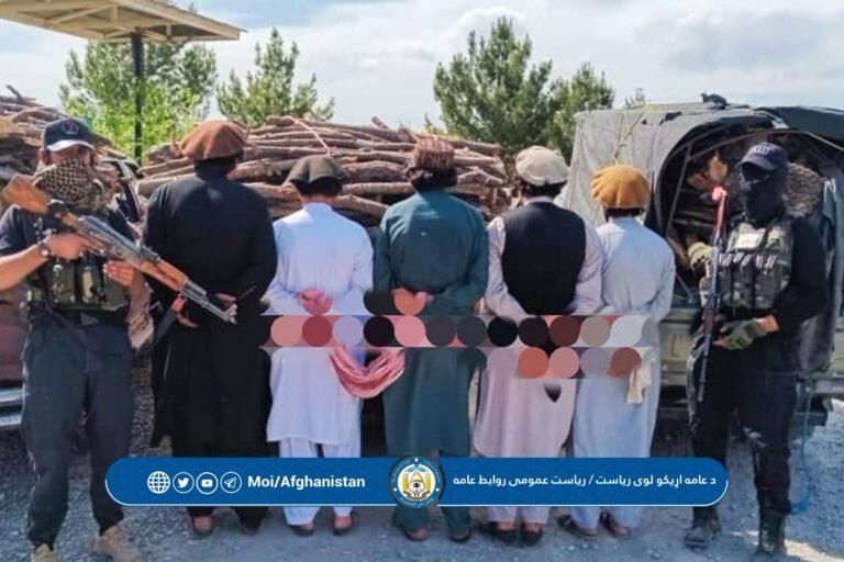 5 detained for illegally cutting trees in Khost